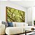 Quadro Horizontal Copa de Árvore Iluminada Galhos Folhas Verdes Natureza Canvas Moldura - Imagem 4