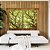 Duo de Quadros Copa de Árvore Iluminada Galhos Folhas Verdes Natureza Canvas Moldura - Imagem 3