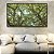 Quadro Horizontal Copa de Árvores Verdes Imponentes Céu Azul Natureza Canvas Moldura - Imagem 5