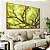 Duo de Quadros Copa de Árvore Verde Claro Iluminado Natureza Paisagem Canvas Moldura - Imagem 4