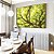 Duo de Quadros Copa de Árvore Verde Claro Iluminado Natureza Paisagem Canvas Moldura - Imagem 5