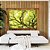 Duo de Quadros Copa de Árvore Verde Claro Iluminado Natureza Paisagem Canvas Moldura - Imagem 3