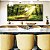 Duo de Quadros Quadrados Caminho na Floresta Luz Dourada Sol Natureza Canvas Moldura - Imagem 1