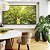 Quadro Horizontal Árvore Galhos Folhas em Verde Intenso Vivo Natureza Paisagem Canvas Moldura - Imagem 3