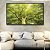Quadro Horizontal Árvore Galhos Folhas em Verde Intenso Vivo Natureza Paisagem Canvas Moldura - Imagem 2