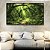Quadro Horizontal Caminho Estrada Floresta Árvore Verde Intenso Canvas Moldura - Imagem 1