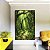 Quadro Vertical Caminho Estrada Floresta Árvore Verde Intenso Canvas Moldura - Imagem 3