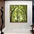 Quadro Quadrado Copa de Árvores Verde Vibrante Céu Claro Natureza Canvas Moldura - Imagem 3