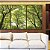Trio de Quadros Copa de Árvores Verde Vibrante Céu Claro Natureza Canvas Moldura - Imagem 3
