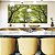 Duo de Quadros Quadrados Copa de Árvores Verde Vibrante Céu Claro Natureza Canvas Moldura - Imagem 1