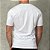 Camiseta Masculina - Polo RL Branca * - Imagem 4