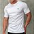 Camiseta Masculina - Polo RL Branca * - Imagem 2