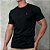 Camiseta Masculina - Polo RL Preta * - Imagem 2