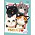 Caderno Brochura Capa Dura Universitário Purrfect Cats 80 Folhas - Imagem 4