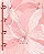 Caderno Colegial Argolado Rosa Rose 160 Folhas - Imagem 4