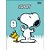 Caderno Brochura Capa Dura Universitário Snoopy 80 Folhas - Imagem 1