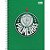 Caderno Espiral Capa Dura Universitário 10 Matérias Palmeiras 160 Folhas - Imagem 1