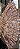 Saia Em Renda Africana - SEA032 - Imagem 1