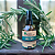 Hidrolato Orgânico de Alecrim (Rosmarinus officinalis) 100ml - Imagem 2