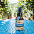 Hidrolato Orgânico de Melaleuca 100ml - Imagem 5