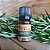 Óleo Essencial Orgânico de Alecrim 10ml - Imagem 1