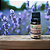 Óleo Essencial Orgânico de Lavanda Brasil (Dentata) 10ml - Imagem 1