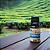 Óleo Essencial Orgânico de Melaleuca (TEA TREE) 10ml - Imagem 1