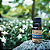 Óleo Essencial Orgânico de Melaleuca Branca 10ml - Imagem 1