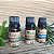 Kit Anti-Viral (Melaleuca Orgânico + Alecrim imp  + Hortelã pimenta imp) - Imagem 1