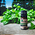Óleo Essencial Importado de Hortelã Pimenta 10ml - Imagem 2