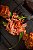 Pulled Pork em Peça - 400g - Imagem 1