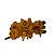 Bomba Injetora Remanufaturada Caterpillar 320D2 Motor Perkins C7.1 - Imagem 4
