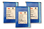 Palhetas IMV 0,50 mL Cores Diversas (Pct/2000) - Imagem 3