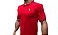 Polo Ralph Lauren Vermelho Listra Gola Punho Logo Clássico - Imagem 2