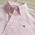 Camisa Tommy Hilfiger Manga Curta Oxford Listrado Rosa Claro Regular Fit - Imagem 2
