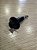 Jack Roldana Dolphin 2 conexoes Preto - Imagem 5