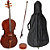 Violoncelo Hofma Hce 100 4/4 profissional com bag, arco e breu - Imagem 1