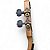 Banjo Marquês Baj221 preto aro em cobre elétrico BAJ-221BKSEQ - Imagem 6