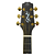 Violão Seizi Originals Kaizen Akira Half Cutaway Gold Space Grey - Imagem 8