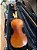 Violino Eagle Ve244 + Hardcase Alemão p/ Viagens completo – Usado - Imagem 2