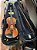 Violino Eagle Ve244 + Hardcase Alemão p/ Viagens completo – Usado - Imagem 1