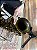 Sax Alto Dixon Super Deluxe Boquilha Everton Full Pop 7 – Usado - Imagem 3