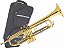 Trompete Eagle Tr-504 Sib Estojo estojo Luxo Profissional - Imagem 1