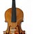 Violino 4/4 Dominante Estudante Especial  Estojo Arco Breu - Imagem 3