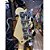 Kit Contra Baixo Sx JazzBass Bd1 White 4 Cordas Amplificador Sheldon - Imagem 4