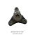 FLANGE ROTOR COLHEITADEIRA MASSEY FERGUSON 5650 - Imagem 1