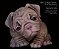 Sinal para Pré Ordem de Kit Escultora Filhote - Pet Monty, o Pug ; by Simon Laurens - A PARTIR DE 25/05/2025 -  MATERIAL REBORN - TUDO PARA REBORN - Imagem 1