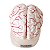 Cérebro 8 Partes Em Corte Semi Emborrachada Em Resina Anatomic - Imagem 1