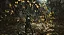 Black Myth Wukong Midia Fisica Seminovo - PS5 - Imagem 4