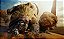 Monster Hunter Wilds Seminovo - PS5 - Imagem 2